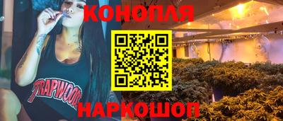 МДПВ Можга