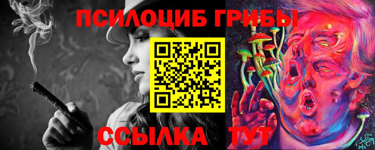 Галлюциногенные грибы GOLDEN TEACHER  Вход с VPN  Псилоцибиновые грибы GOLDEN TEACHER  Петрозаводск 